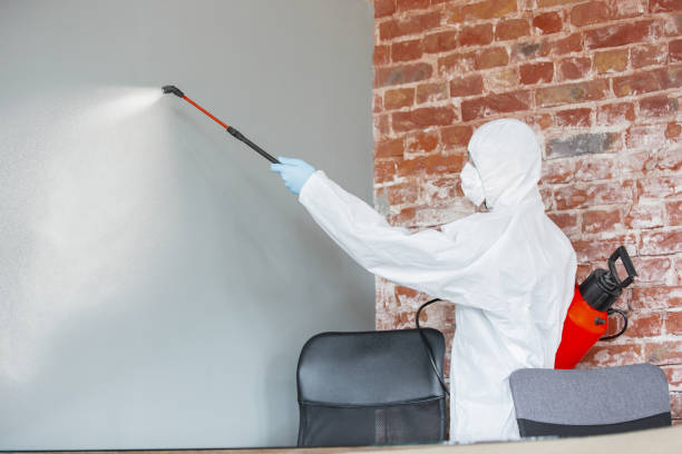 Best Emergency Mold Remediation  in Ash Grove, MO