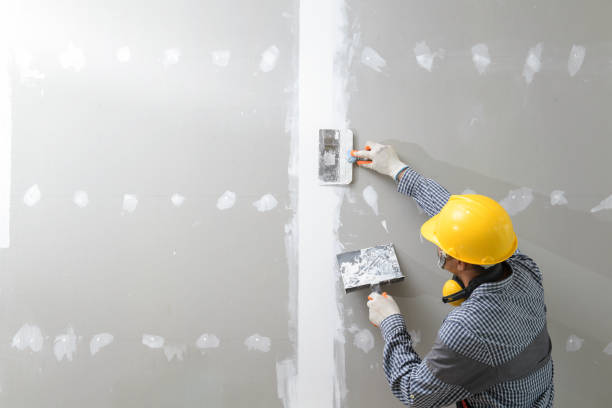Best Mold Odor Removal Services  in Ash Grove, MO