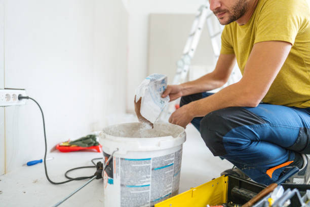 Best Industrial Mold Remediation  in Ash Grove, MO