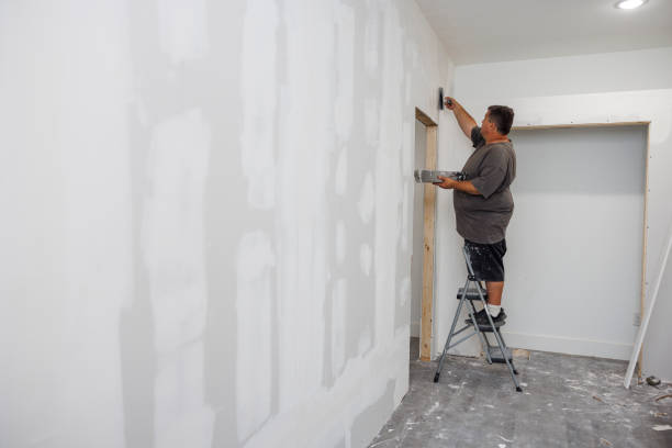 Best Post-Construction Mold Inspection  in Ash Grove, MO
