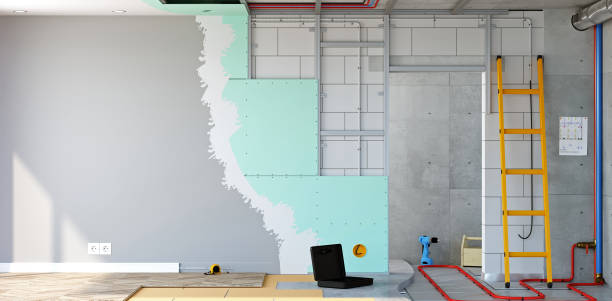 Best Mold Remediation for Healthcare Facilities  in Ash Grove, MO