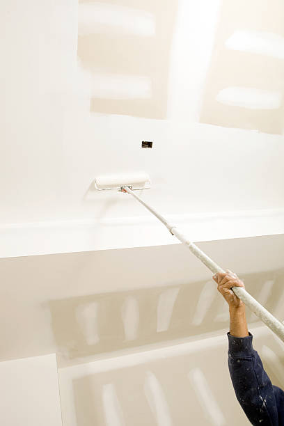 Best Water Damage & Mold Remediation  in Ash Grove, MO