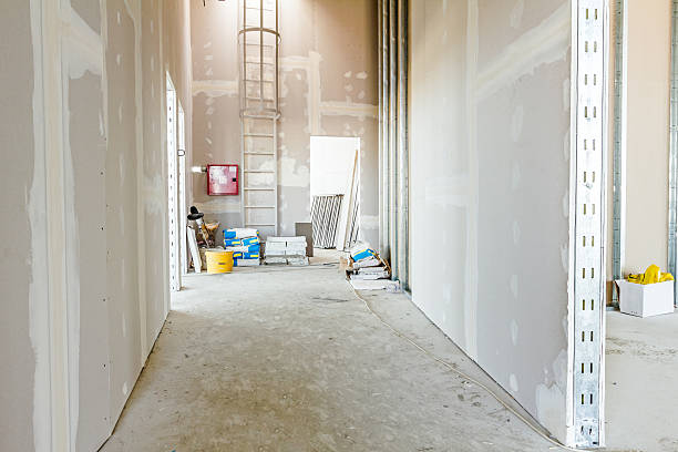 Best Comprehensive Air Testing for Mold Contaminants  in Ash Grove, MO
