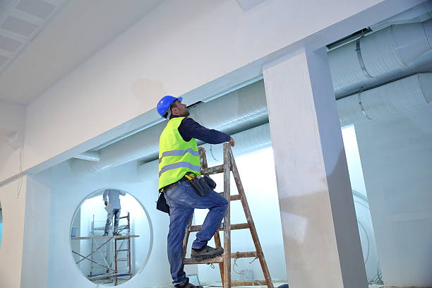 Best Black Mold Removal  in Ash Grove, MO