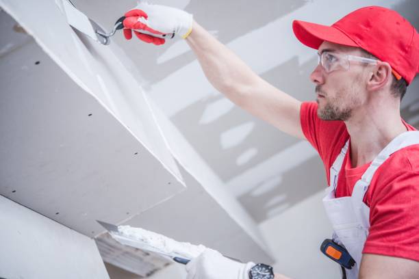 Best Mold Odor Removal Services  in Ash Grove, MO